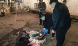 孝感暗访爆料事件最新,揭露背后惊人真相，揭开养老院黑幕